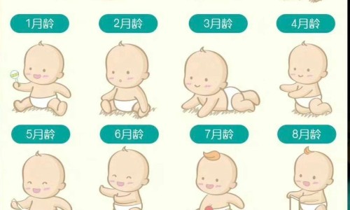 日本婴儿咬器网 | 日本婴儿衣服品牌,日本婴儿出生率